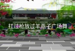 扛过枪放过羊燕子广场舞