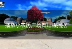 播放小农历广场舞睡醒摇摆