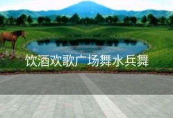 饮酒欢歌广场舞水兵舞