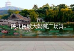 陕北民歌大妈跳广场舞