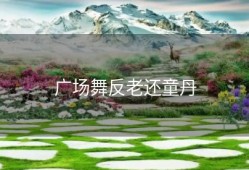 广场舞反老还童丹