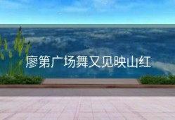 廖第广场舞又见映山红