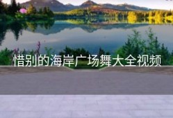 惜别的海岸广场舞大全视频