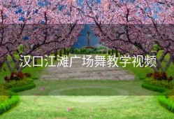 汉口江滩广场舞教学视频