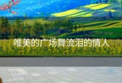 唯美的广场舞流泪的情人