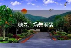 糖豆广场舞羽落