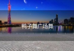 鸭子舞广场舞