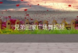 兄弟回家广场舞视频