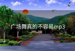 广场舞真的不容易mp3