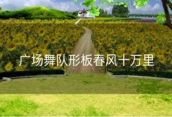 广场舞队形板春风十万里