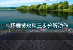 广场舞黄玫瑰三步分解动作