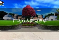 广场双人舞香思草