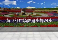 黄飞红广场舞鬼步舞24步