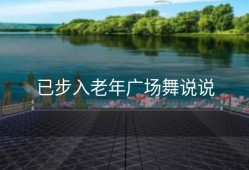 已步入老年广场舞说说