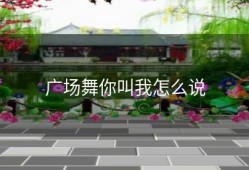 广场舞你叫我怎么说