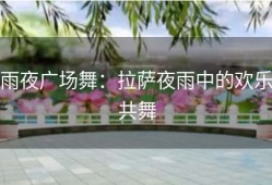 雨夜广场舞：拉萨夜雨中的欢乐共舞