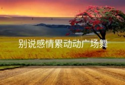 别说感情累动动广场舞