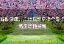 舞动健康：广场舞健身操全集卡路里燃耗指南