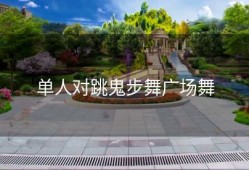 单人对跳鬼步舞广场舞