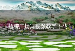 扭胯广场舞视频教学下载