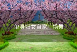 单身妇女自家广场舞