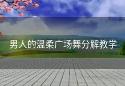 男人的温柔广场舞分解教学
