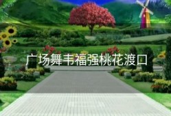 广场舞韦福强桃花渡口