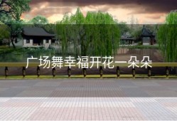 广场舞幸福开花一朵朵