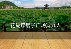 花蝴蝶扇子广场舞九人