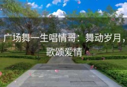 广场舞一生唱情哥：舞动岁月，歌颂爱情