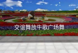 交谊舞放牛歌广场舞