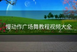 慢动作广场舞教程视频大全