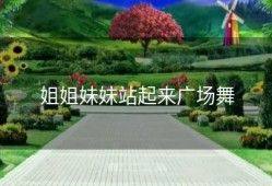 姐姐妹妹站起来广场舞