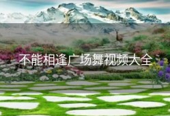 不能相逢广场舞视频大全