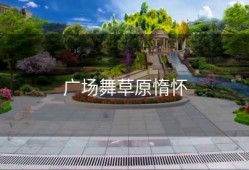 广场舞草原惰怀