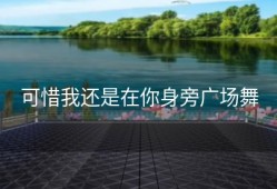 可惜我还是在你身旁广场舞