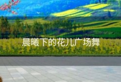 晨曦下的花儿广场舞
