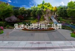 鬼迷心窍时尚广场舞