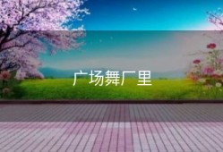 广场舞厂里