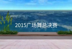 2015广场舞总决赛