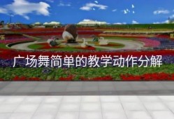 广场舞简单的教学动作分解
