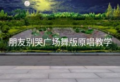 朋友别哭广场舞版原唱教学