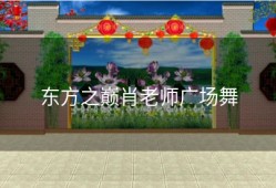东方之巅肖老师广场舞