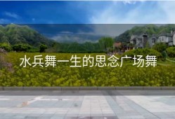 水兵舞一生的思念广场舞