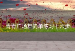 青青广场舞简单练习十六步