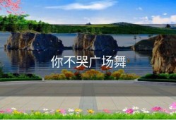 你不哭广场舞