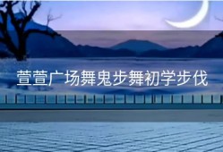 萱萱广场舞鬼步舞初学步伐