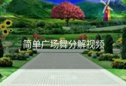 简单广场舞分解视频