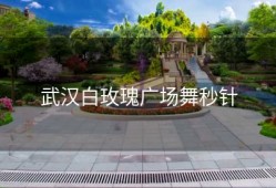 武汉白玫瑰广场舞秒针