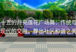 十五的月亮莲花广场舞：传统与现代的交融，舞出社区和谐之美